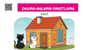 OKU-ANLA-YANITLA